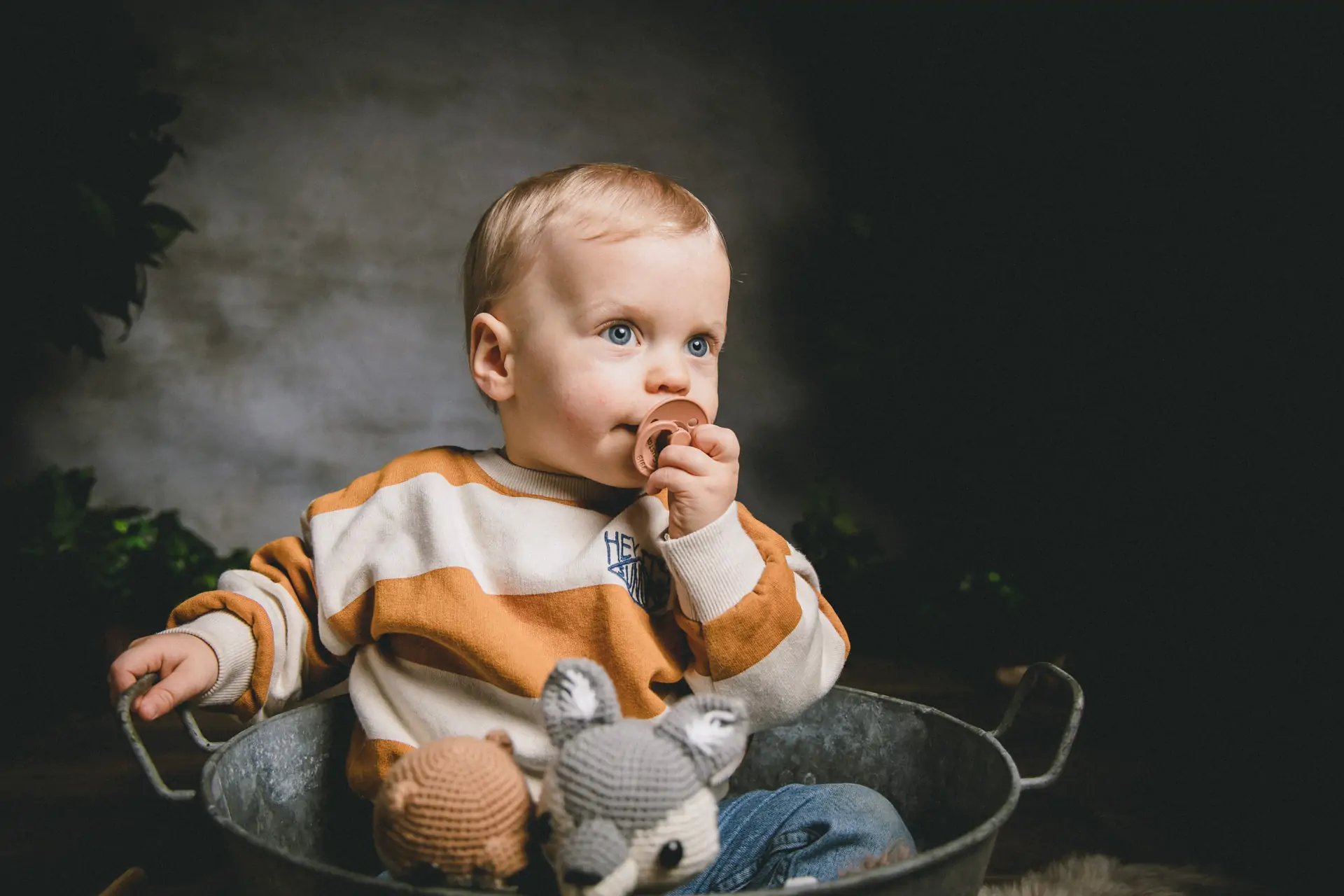 enfant bambin foret studio mademoiselle r monsieur p photographe video annonay ardeche