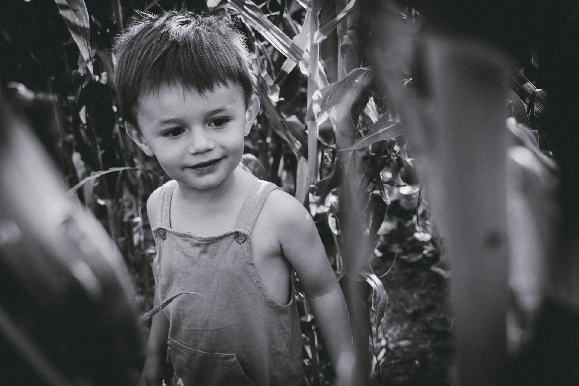 Photo de petit garçon au milieu des maïs